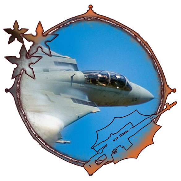 F-14 'Grumman'